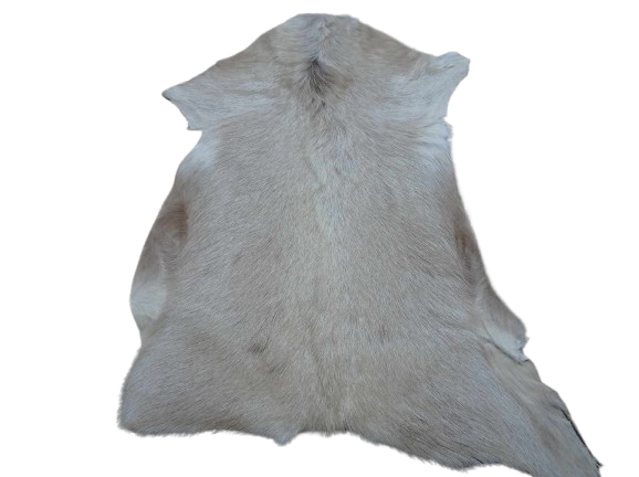 474099679_9494177480617140_837308201035742184_n-removebg-preview