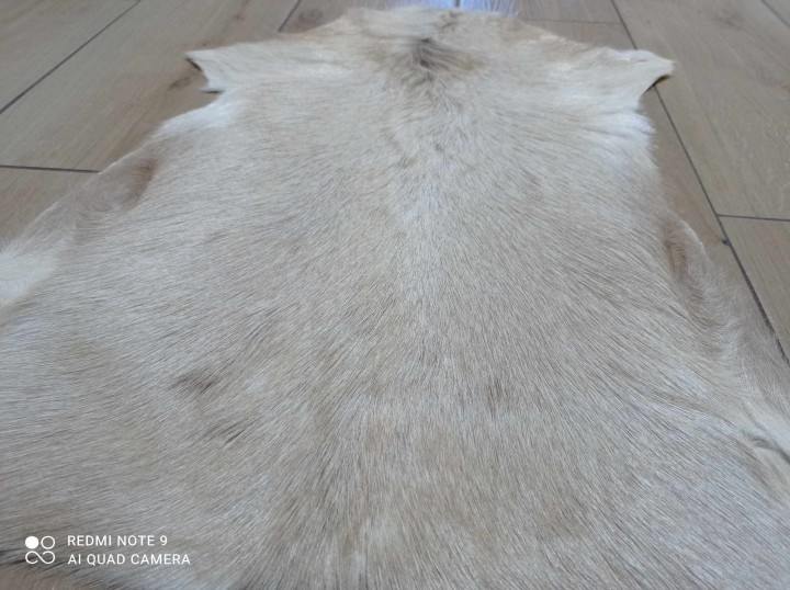 474967294_624541400048150_1946145758075547264_n