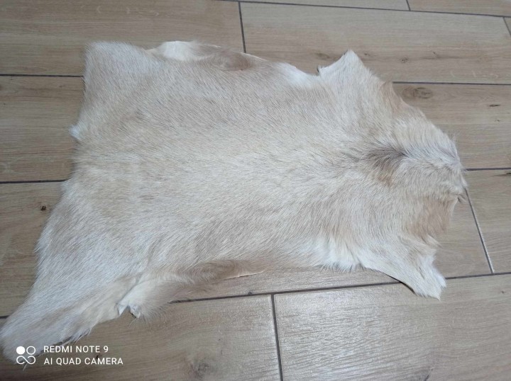 474725670_1153039163150677_601515003794730298_n