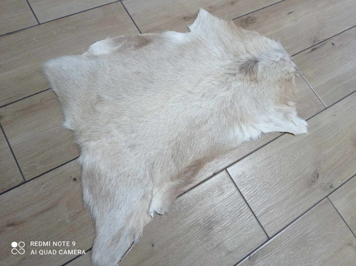 475021197_1286276015986374_4972627419550941492_n