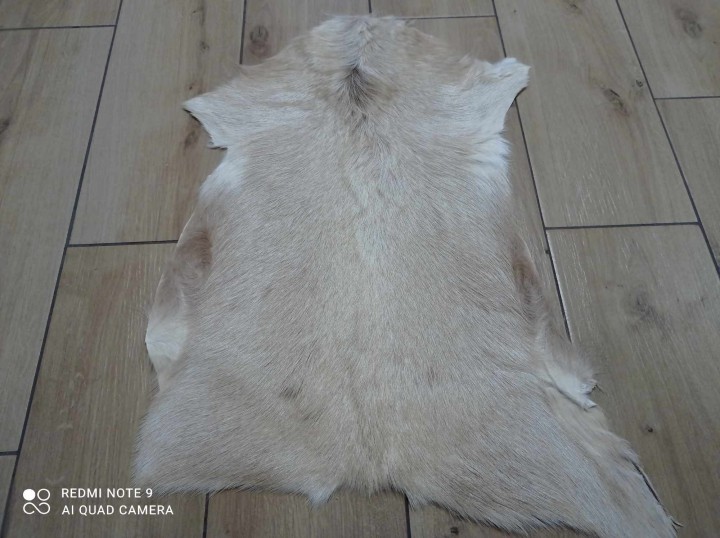 474099679_9494177480617140_837308201035742184_n