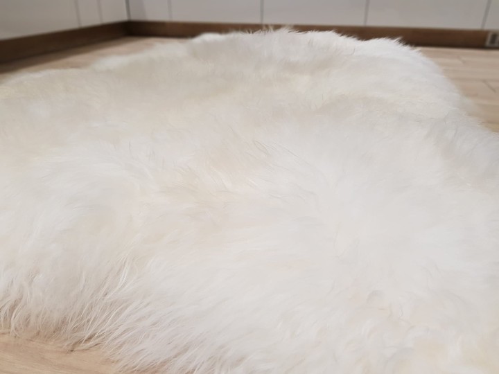 1236