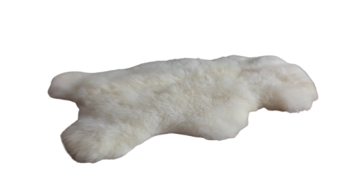 Skóra naturalna owcza XL - rozłożona w salonie- www.dekoracyjneskory.pl