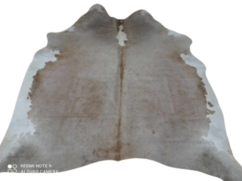 473636325_952641866962714_1902588324721196376_n-removebg-preview