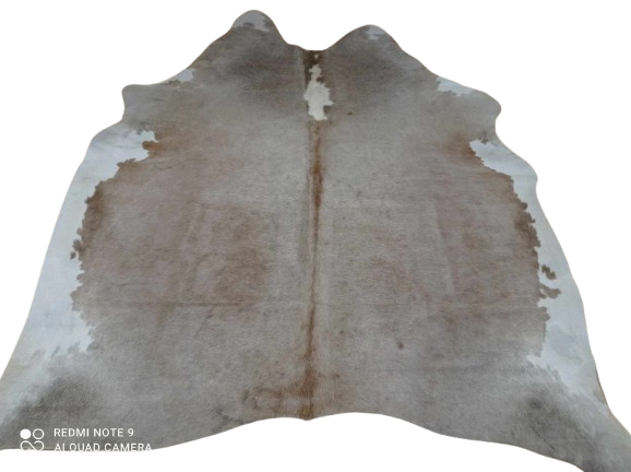 473636325_952641866962714_1902588324721196376_n-removebg-preview