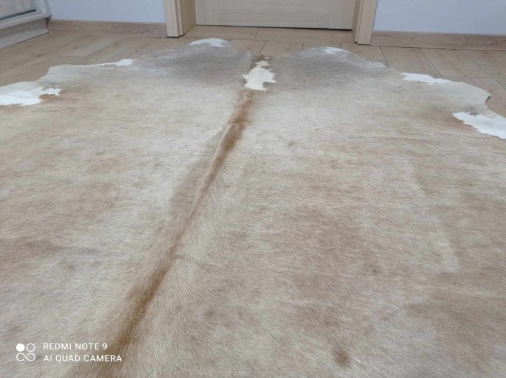 476688651_1768377733734782_2785232774626843227_n