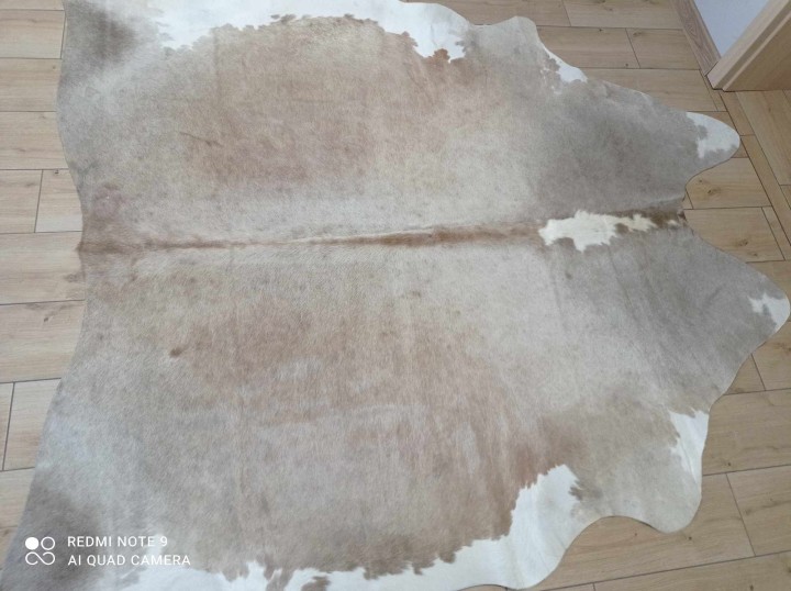 473524330_540950382329390_8424750761390144414_n