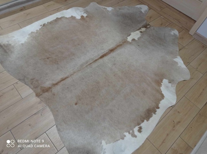 476318939_698690896059348_7687472024316850762_n