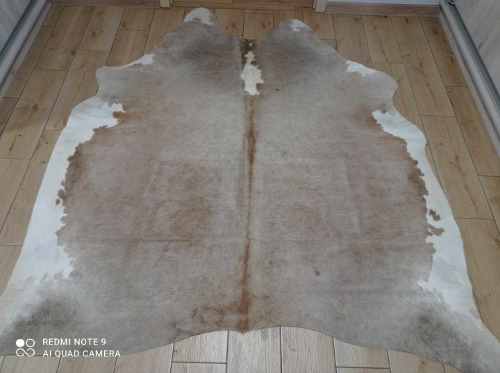 473636325_952641866962714_1902588324721196376_n