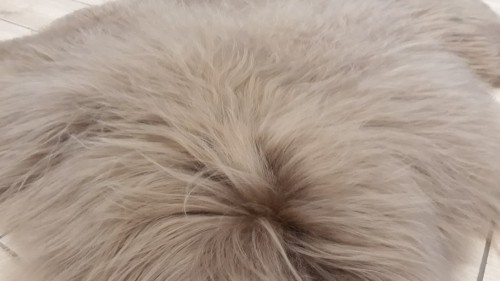Długowłose skóry islandzkie w kolorze cappucino - zbliżenie na piękny długi włos - dekoracyjneskory.pl