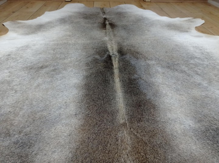 c5aa278c-96ed-4b5b-ad50-d5f44e2edddc