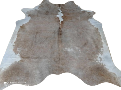 462642999_1089066202716107_4494900726993693268_n-removebg-preview