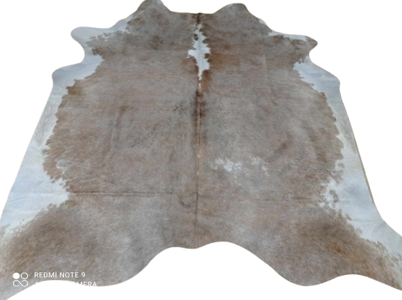 462642999_1089066202716107_4494900726993693268_n-removebg-preview