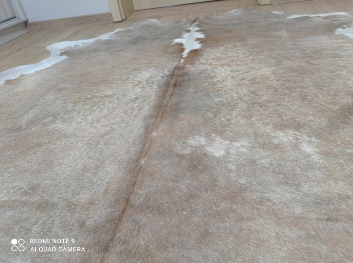 462638397_897861345895825_2664185015713117713_n