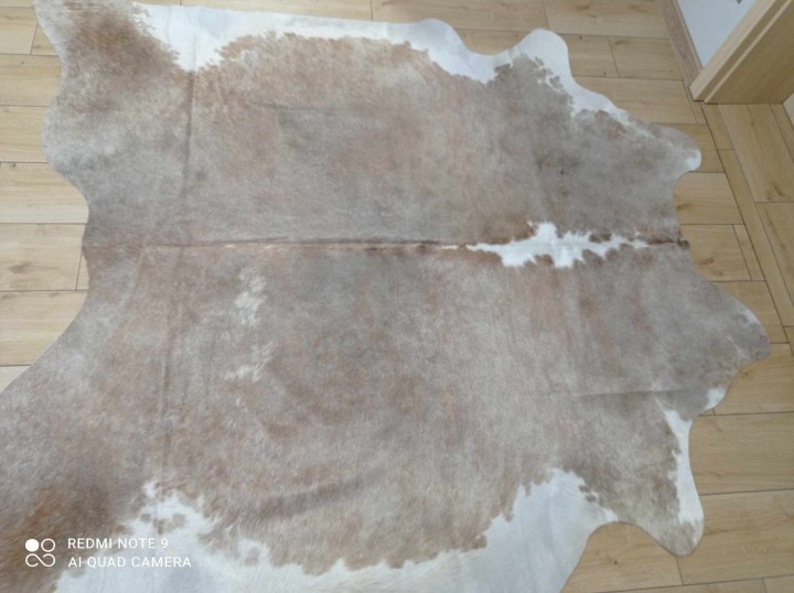 467488730_1149604139915298_2598059053840798570_n