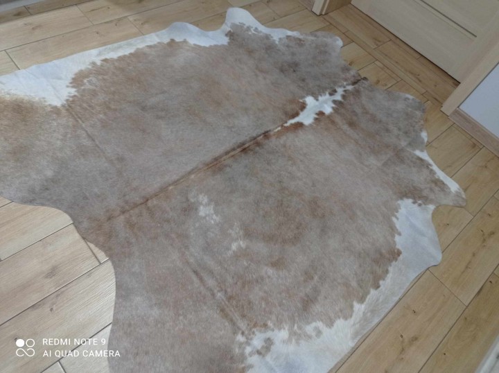 462583251_1260760868527720_3850161209489341678_n