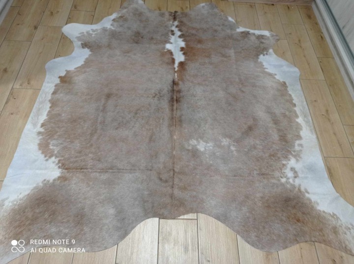 462642999_1089066202716107_4494900726993693268_n