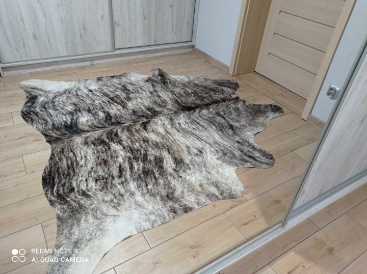 462646689_1392672435052540_198389882430232822_n