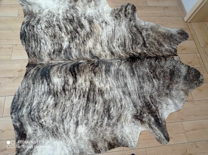 467273951_1250508212888453_6269237495917781840_n