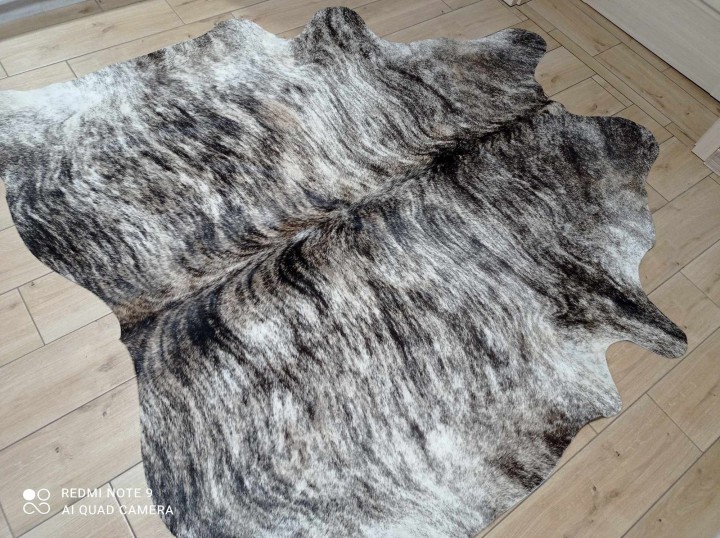 467256517_3911643572415862_5126418719509433644_n