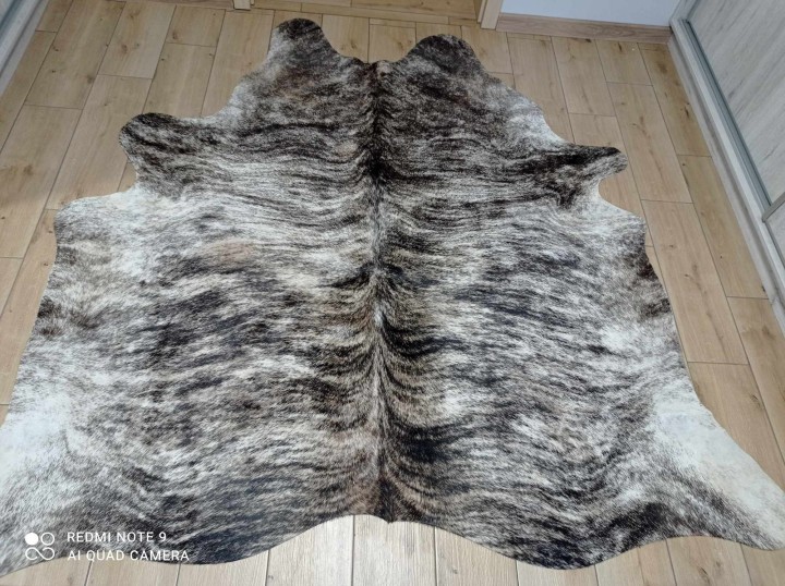 462568166_27843617175286667_41884759301051200_n