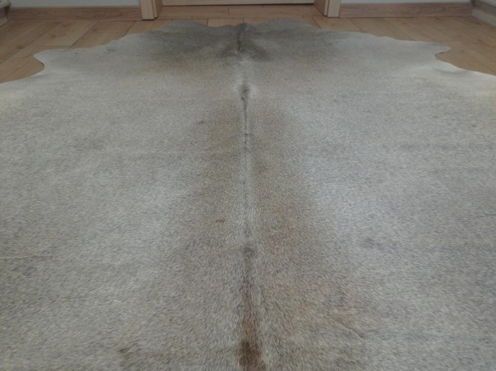 48dbfb9c-c934-43ce-96d5-8c79805d4092