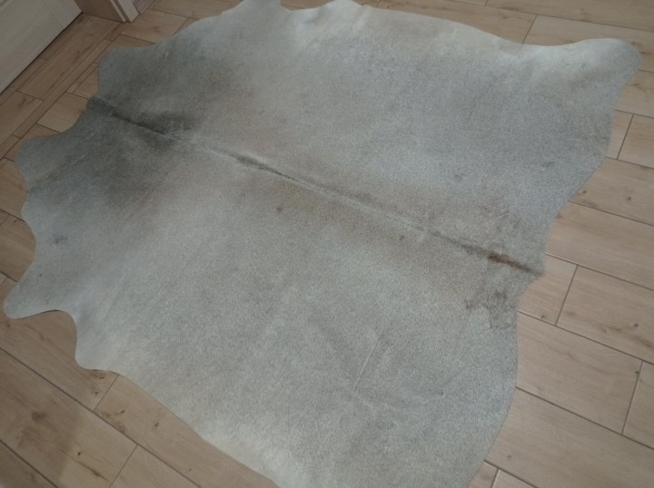 19a8da21-19bd-4f0e-bf1c-d4c95554c1fb