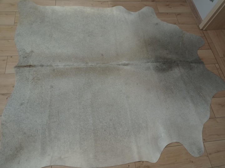 205cb3ba-ec15-468b-bcaa-75938333d0af