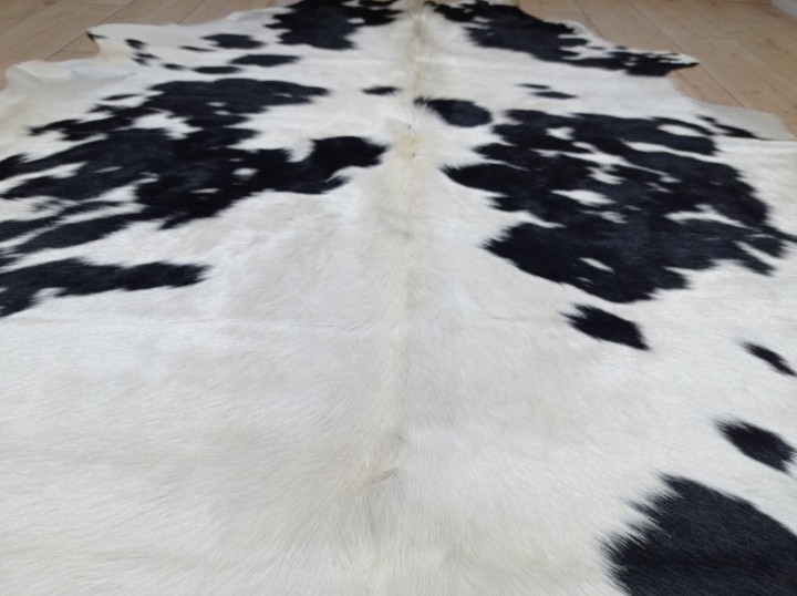 Zbliżenie na lśniące włosie naturalnej skóry z krowy - wzór łaciaty