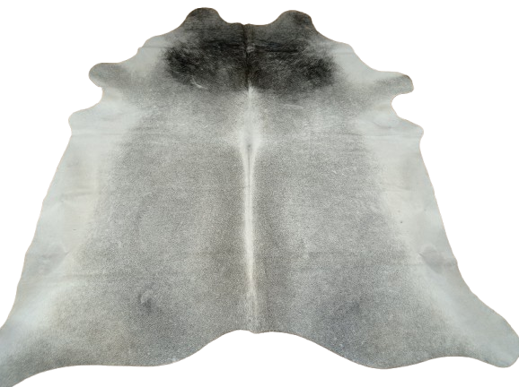 Ogromna szara skóra bydlęca 230x210 cm rozłożona w dużym salonie  - dekoracyjneskory.pl