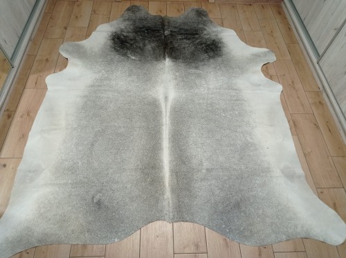 Ogromna szara skóra bydlęca 230x210 cm rozłożona w dużym salonie  - dekoracyjneskory.pl