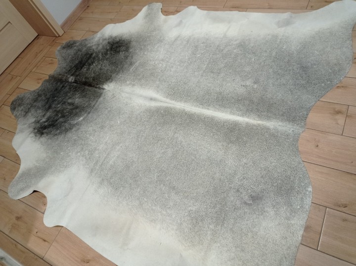 Ogromna szara skóra bydlęca 230x210 cm rozłożona w dużym salonie  - dekoracyjneskory.pl