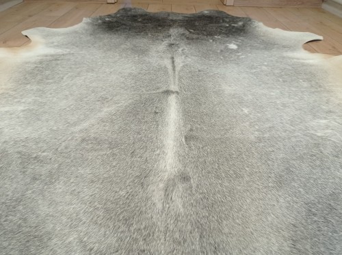 Szara skóra bydlęca rozłożona na jasnej podłodze - zbliżenie na wyjątkowy lśniący włos