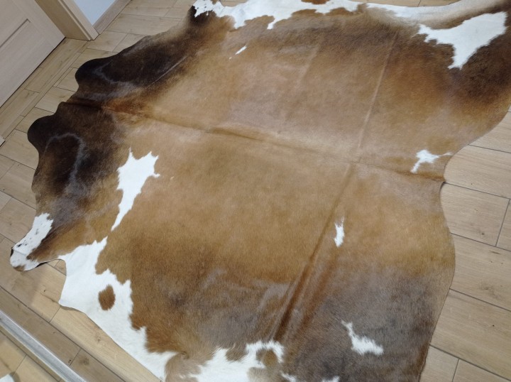 Ogromna brązowo-beżowo-biała skóra bydlęca 250x225 cm rozłożona w dużym salonie - wzór TRICOLOR XXL - dekoracyjneskory.pl