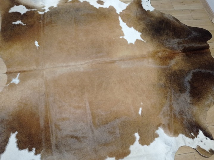 Ogromna brązowo-beżowo-biała skóra bydlęca 250x225 cm rozłożona w dużym salonie - wzór TRICOLOR XXL - dekoracyjneskory.pl
