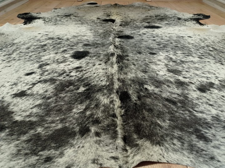 Zbliżenie na ogromną szarą skórę bydlęcą XXL zajmującą dużą powierzchnię salonu