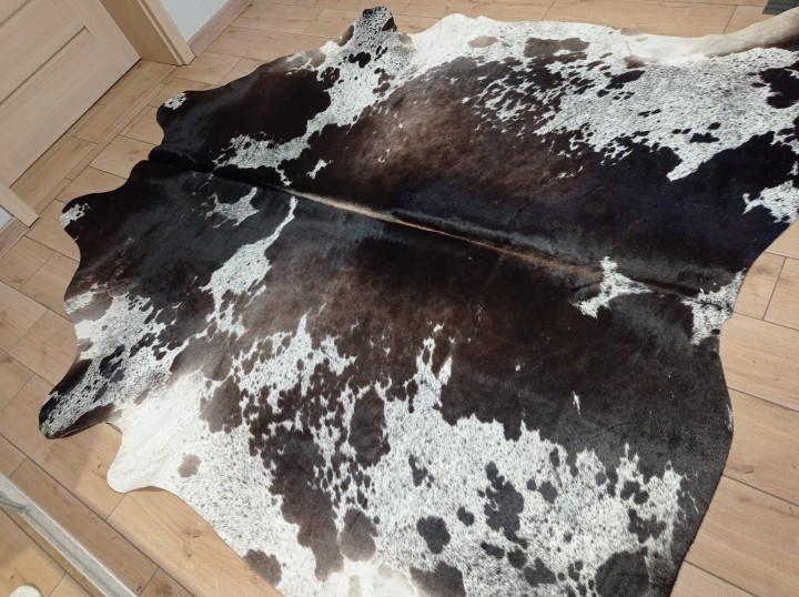 Ogromna czarno-brązowo-biała skóra bydlęca 235x225 cm rozłożona w dużym salonie - wzór łaciata XXL - dekoracyjneskory.pl