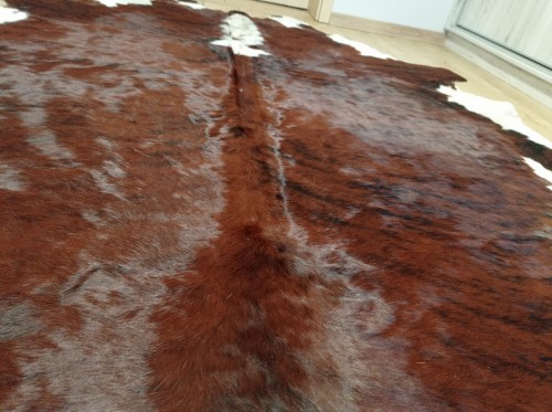 Zbliżenie na ogromną brązowo-białą skórę bydlęcą XXL zajmująca dużą powierzchnię salonu - dekoracyjneskory.pl