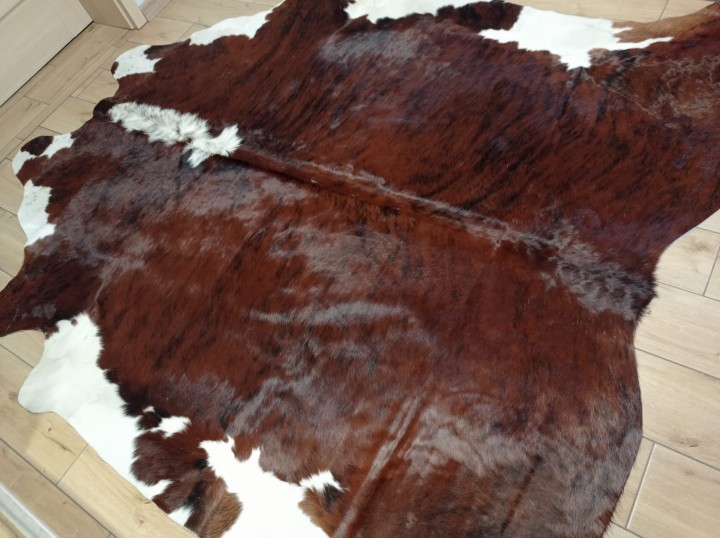 Ogromna brązowo-biała skóra bydlęca 240x230 cm rozłożona w dużym salonie - wzór TYGRYS XXL - dekoracyjneskory.pl