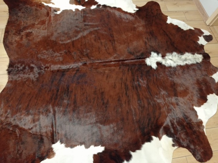 Ogromna brązowo-biała skóra bydlęca 240x230 cm rozłożona w dużym salonie - wzór TYGRYS XXL - dekoracyjneskory.pl
