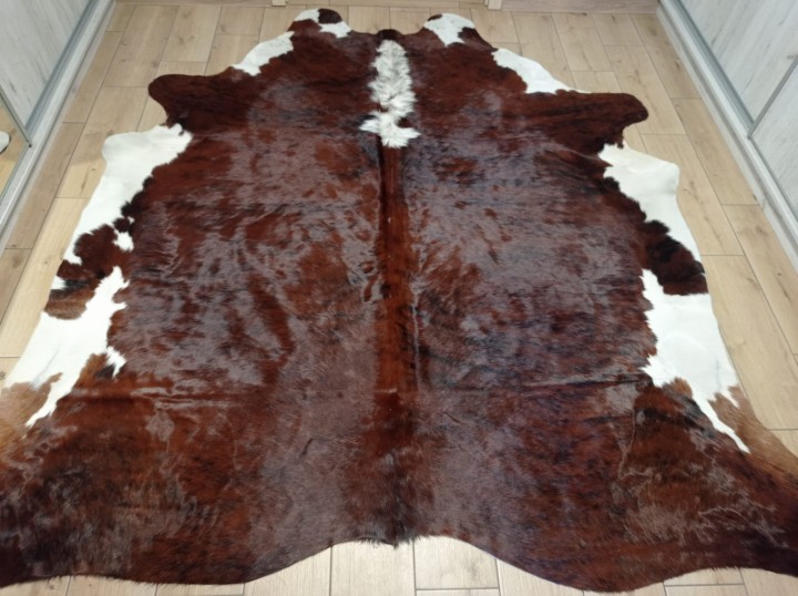 Ogromna brązowo-biała skóra bydlęca 240x230 cm rozłożona w dużym salonie - wzór TYGRYS XXL - dekoracyjneskory.pl