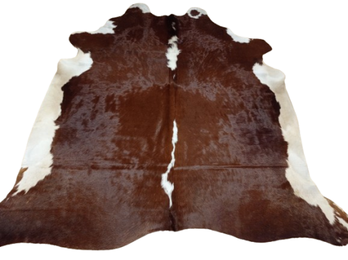 Ogromna  skóra bydlęca 220x210 cm rozłożona w dużym salonie -  XXL - dekoracyjneskory.pl