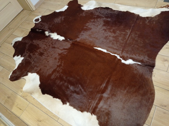 Ogromna  skóra bydlęca 220x210 cm rozłożona w dużym salonie -  XXL - dekoracyjneskory.pl