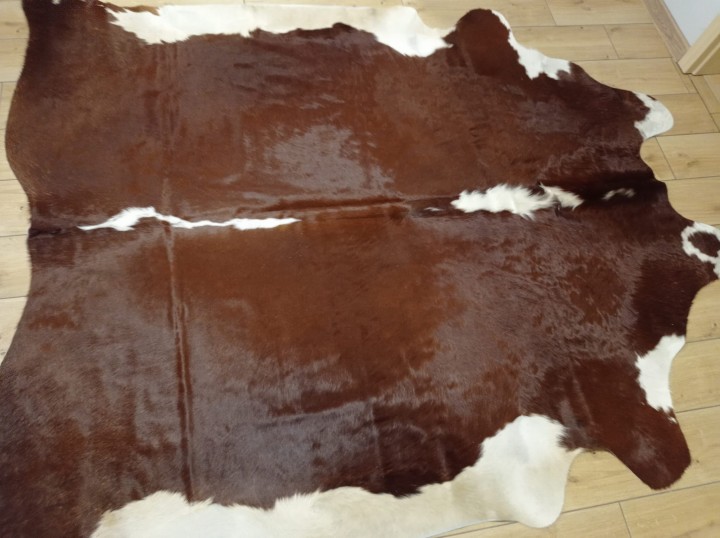Ogromna  skóra bydlęca 220x210 cm rozłożona w dużym salonie -  XXL - dekoracyjneskory.pl