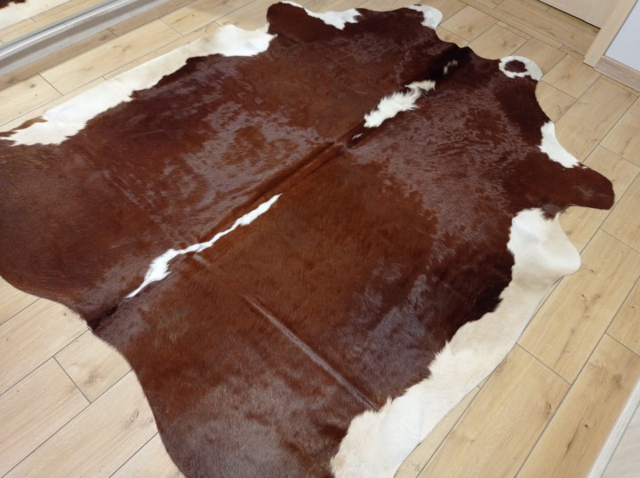Ogromna  skóra bydlęca 220x210 cm rozłożona w dużym salonie -  XXL - dekoracyjneskory.pl