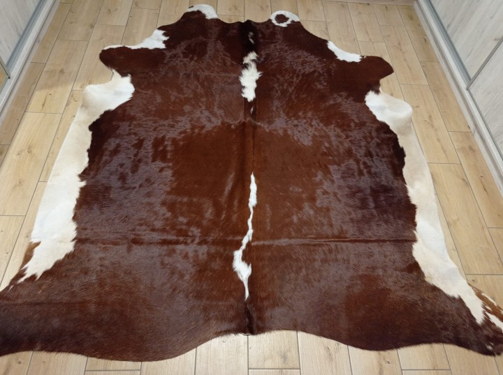 Ogromna  skóra bydlęca 220x210 cm rozłożona w dużym salonie -  XXL - dekoracyjneskory.pl