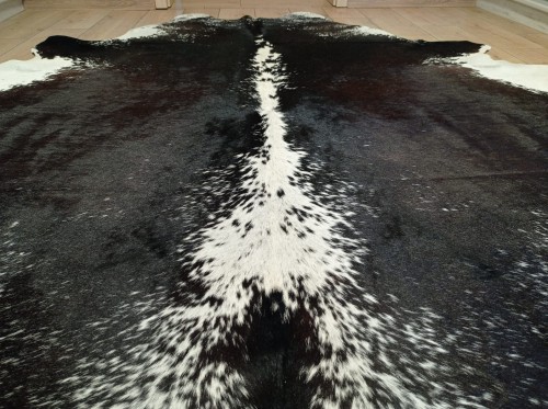 Ogromna  skóra bydlęca 230x220 cm rozłożona w dużym salonie -  zbliżenie na lśniącą sierść - dekoracyjneskory.pl