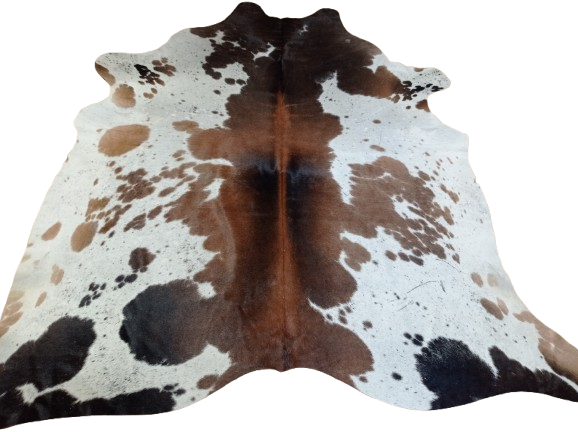 Ogromna  skóra bydlęca 225x215 cm rozłożona w dużym salonie -  TRICOLOR XXL - dekoracyjneskory.pl