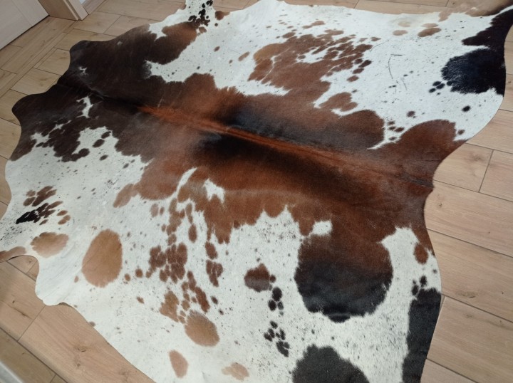 Ogromna  skóra bydlęca 225x215 cm rozłożona w dużym salonie -  TRICOLOR XXL - dekoracyjneskory.pl