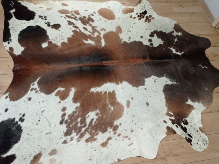 Ogromna  skóra bydlęca 225x215 cm rozłożona w dużym salonie -  TRICOLOR XXL - dekoracyjneskory.pl